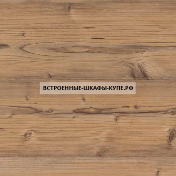 H1487 ST22