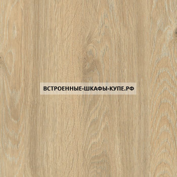 H3131 ST12